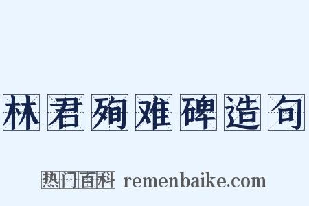 林君殉难碑造句是什么意思的图片